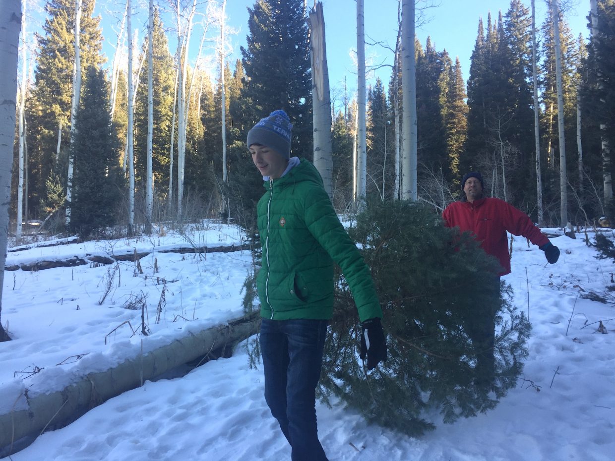 Forest Service, BLM offer Christmas tree cutting permits